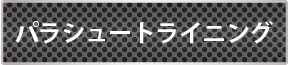 パラシュートライニング